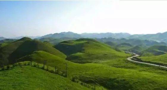 黑网爆料泄密海报