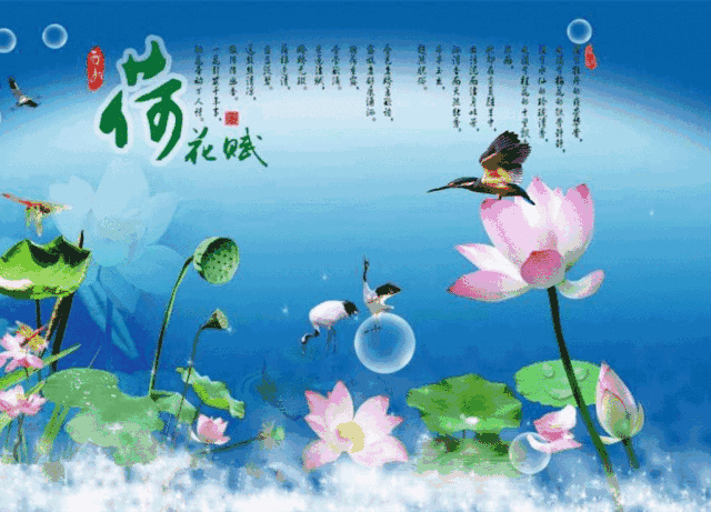 中文字幕在线精品视频