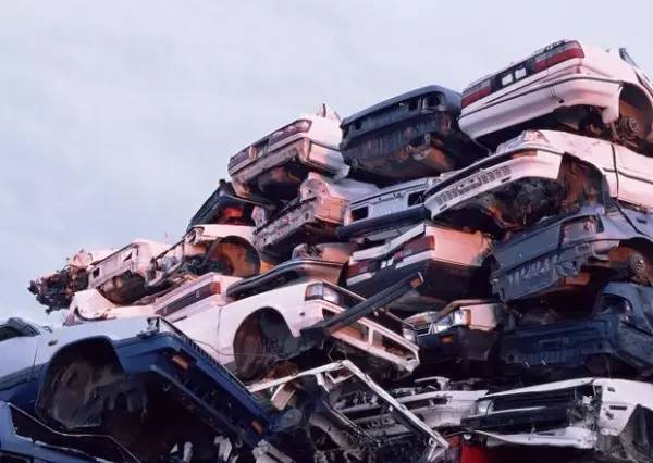 啄木鸟 快乐夫人 鸟快通过展示来获得它海报