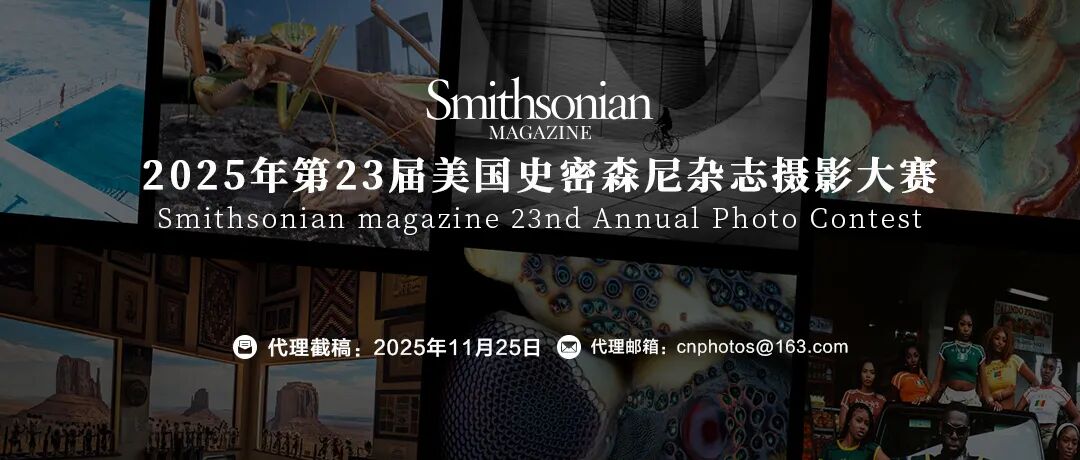 男人团2024vip海报