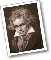 喵趣在线观看海报