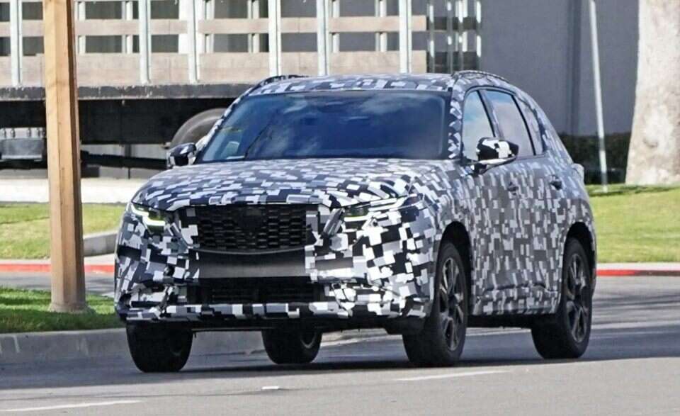 白丝黑丝出水白虎