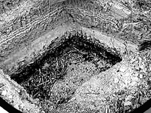 黑料吃瓜轻量版