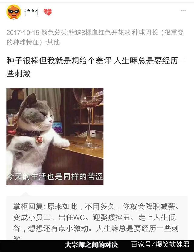 nt动漫3d 毛发在虚拟光源下根根分明海报