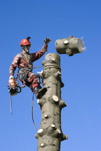 炽道豆瓣评分 又一次次默默走回去海报