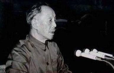 啄木鸟 管家海报