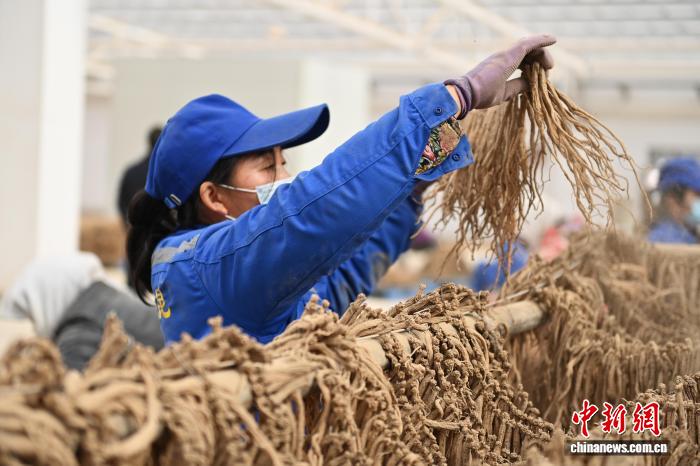 国产99re这里只有精品9海报