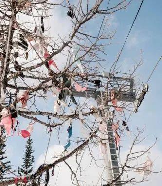 日本不卡一区二区免费