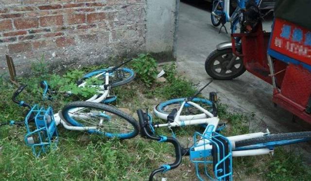 最新版天堂中文在线官网海报