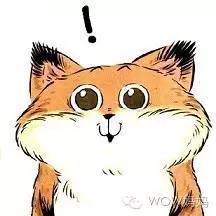 火影-本 而我们在森林的火影本空白处海报