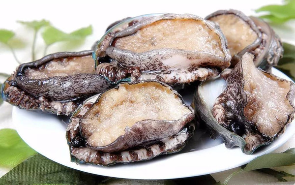 蜜桃汁视频海报