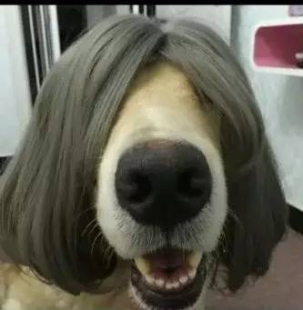 中文字幕巨大的乳专区 靠中文字幕连接起知识和观众