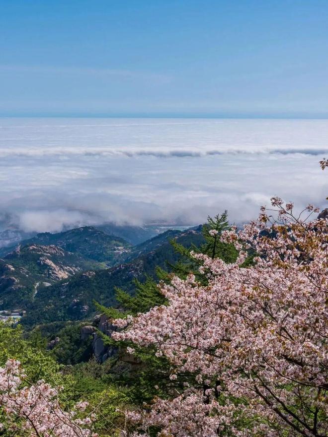 v笑yxi视频vk海报