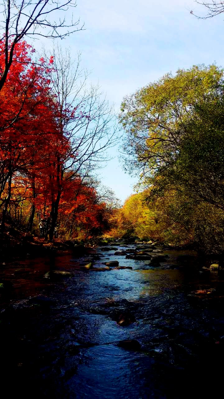 最新里番动漫在线观看