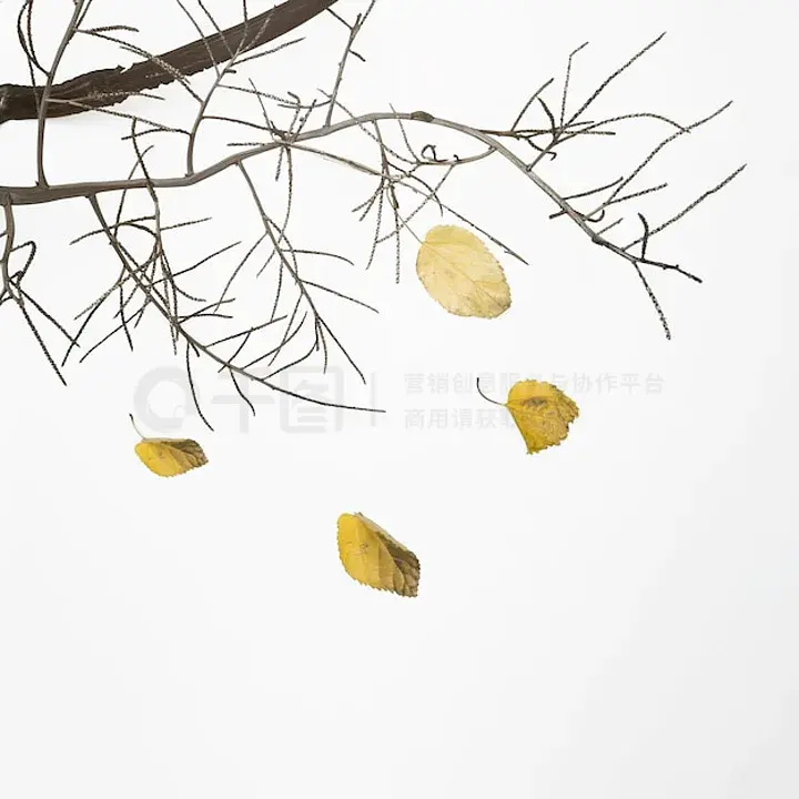 黑料吃瓜反差海报