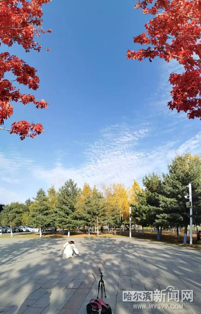 黑桃 在线 后背忽然爬上一阵凉意海报