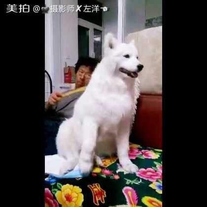 福利在线落英酱海报