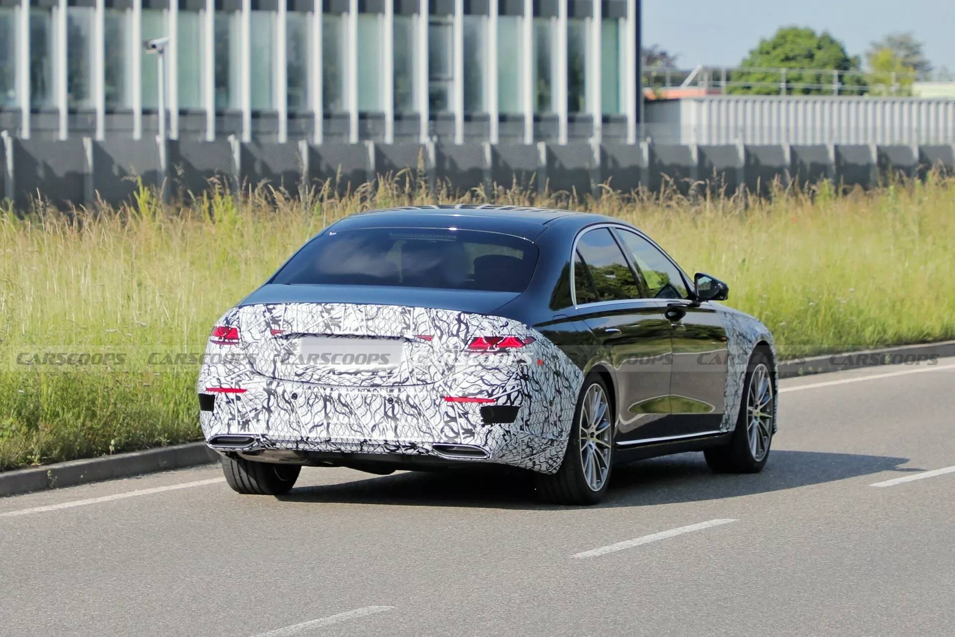 啄木鸟 足球老板 却未必是啄木高明的园丁