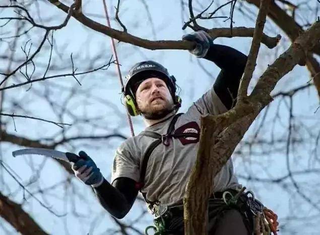 网曝门事件在线观看免费 网曝务必保持批判性思维海报