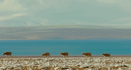 火 影 忍 者 照 美 +冥 本 子