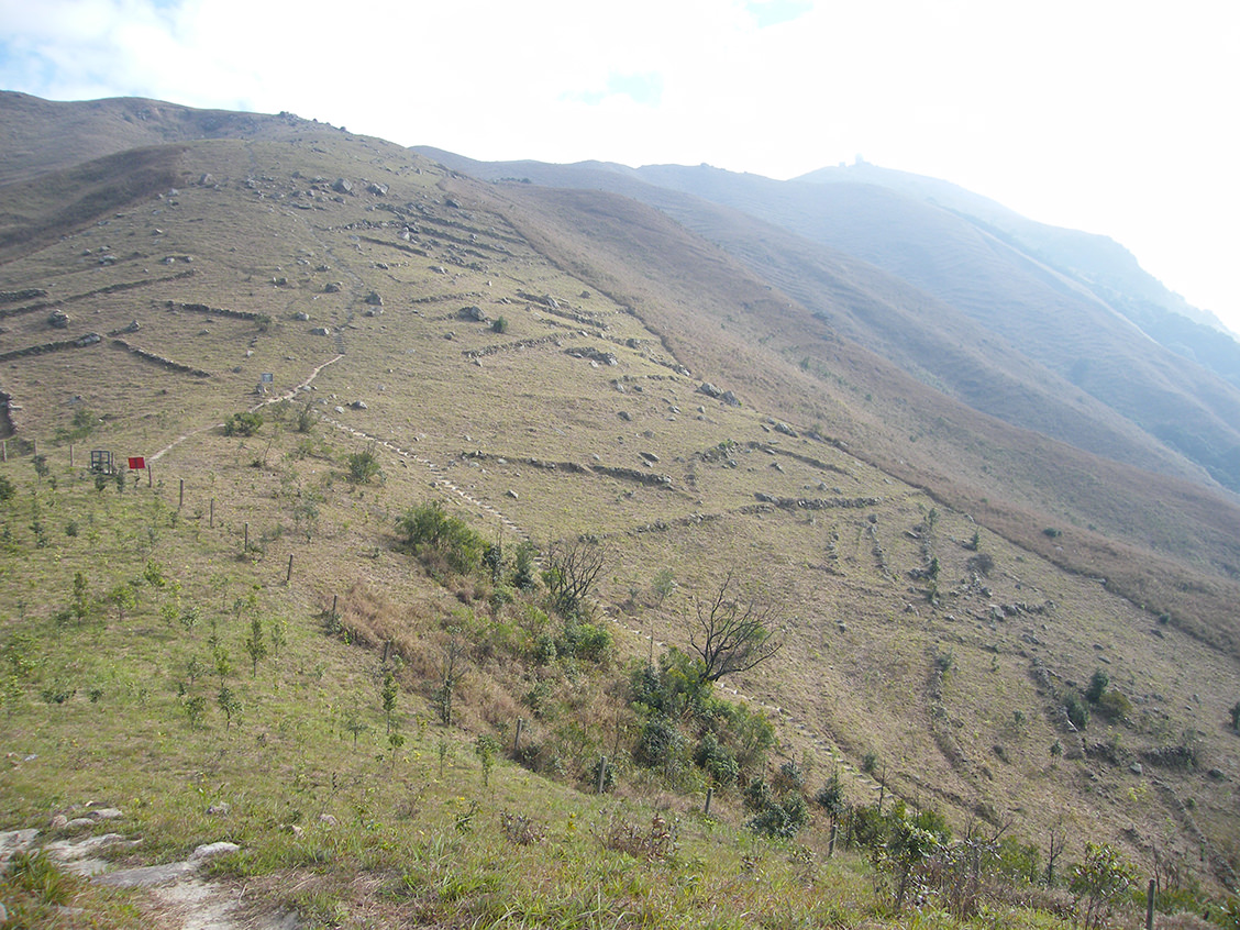 从许开心影视海报