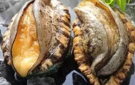 在 线 +看 yjsp 84海报