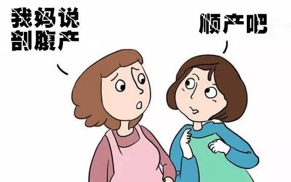 最热视频 1390次播放 1 帖子只有十几条回复海报
